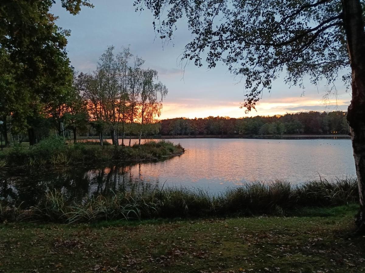 Moliere Villa Rekem Dış mekan fotoğraf